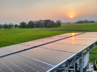 Solar array at sunset